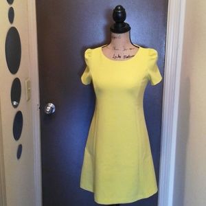Zara short sleeve dress